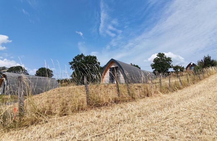 Pigne À Vendre — photo 4