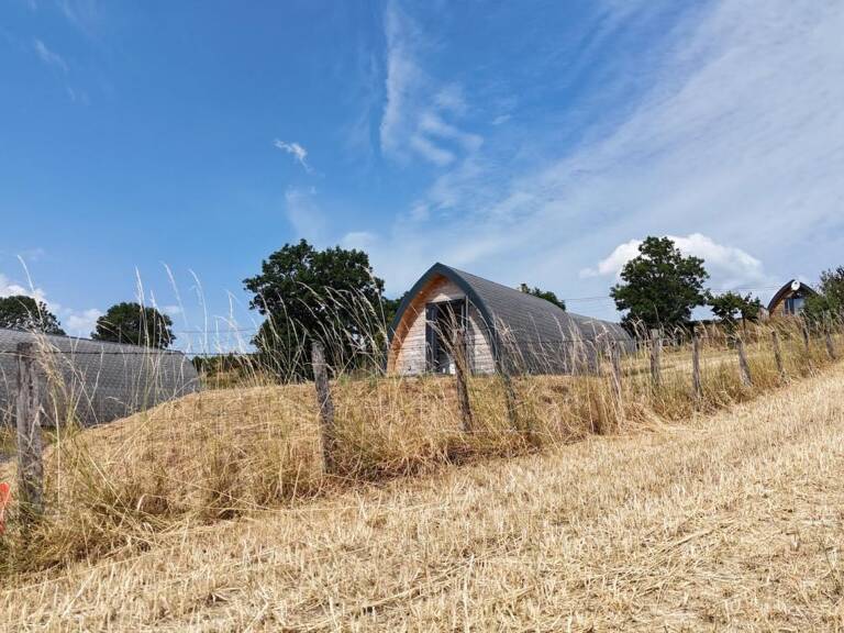 Pigne À Vendre — photo 1