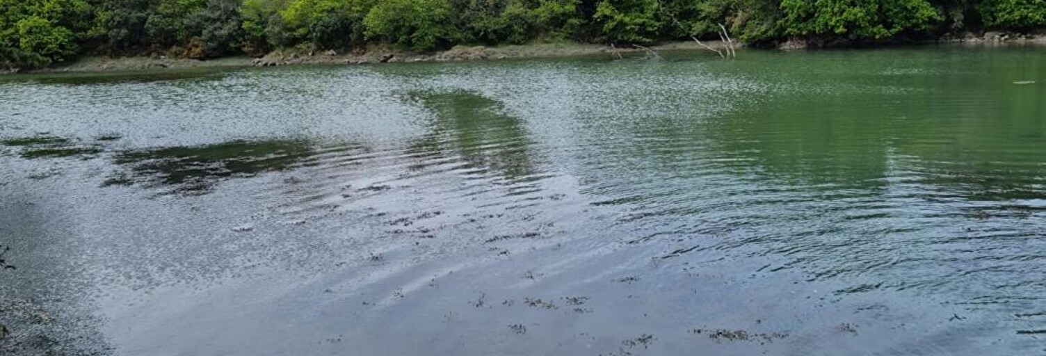 Terrain  475 m² à vendre à Loctudy (29750)