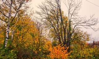 Terrain  852 m² à vendre à Presles (95590)