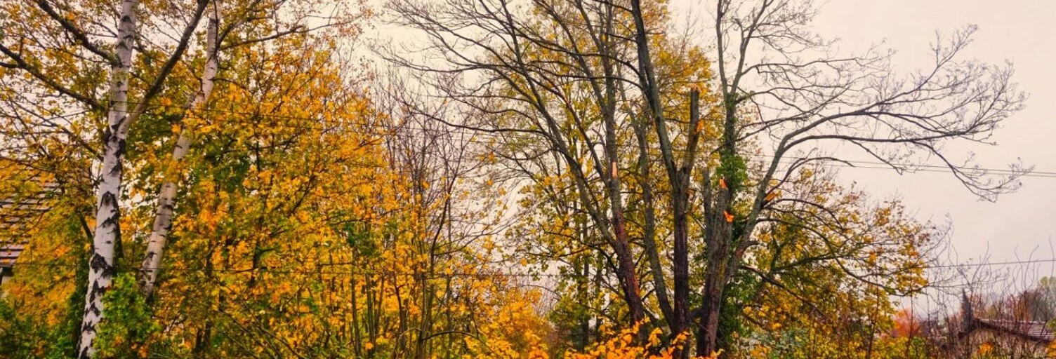 Terrain  852 m² à vendre à Presles (95590)