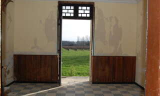 Photo N° 4