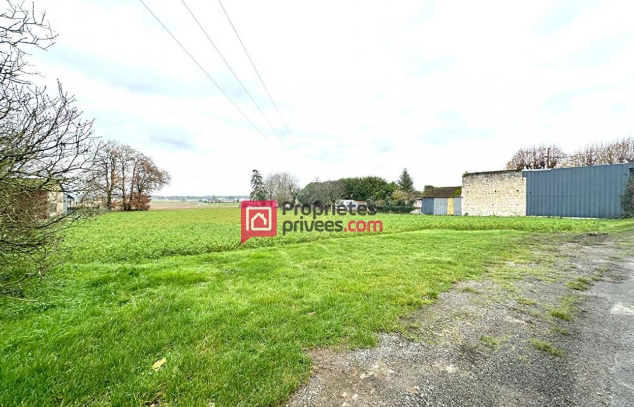 terrain  pièces 1650 m2 à vendre à Chinon (37500)