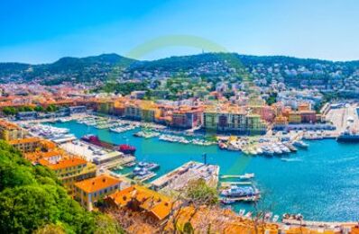 vente commerce 39 000 € à proximité de Nice (06100)