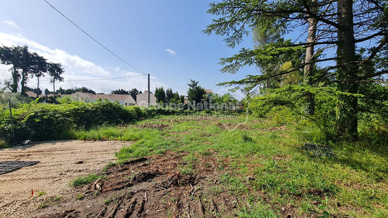 terrain  pièces 550 m2 à vendre à Monteux (84170)