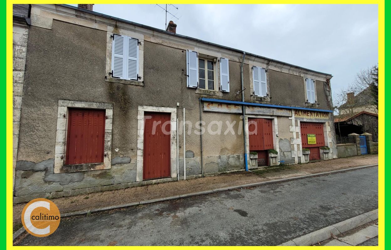 maison 9 pièces 250 m2 à vendre à Lignières (18160)