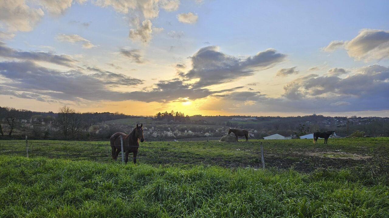 terrain  pièces 6900 m2 à vendre à Fargues-Saint-Hilaire (33370)