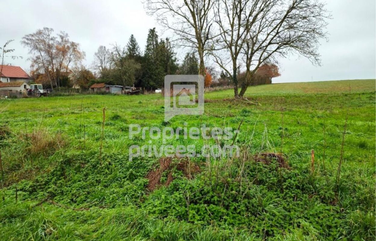 terrain  pièces 2200 m2 à vendre à Garchy (58150)