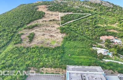 vente terrain 385 000 € à proximité de Saint Martin (97150)