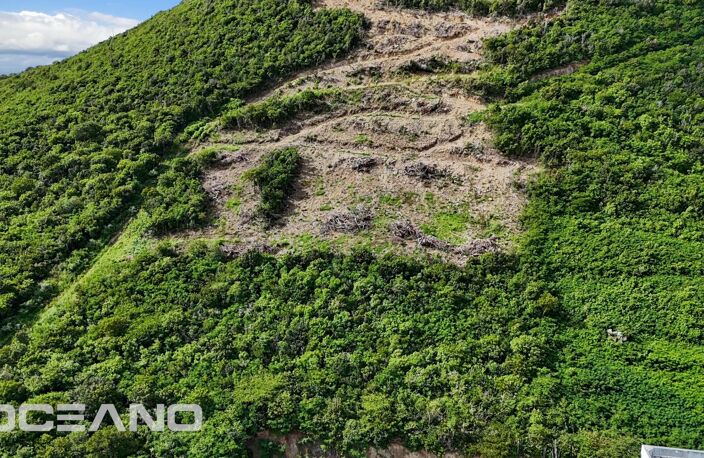 Terrain de 2100m2 avec vue sur le Lagon de Simpson Bay — photo 5