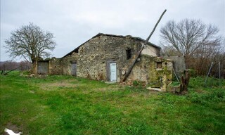 Photo N° 4