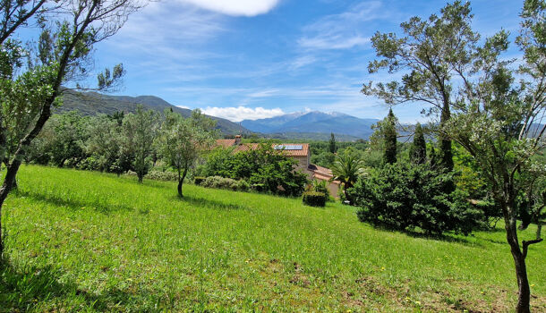 Villa / Maison 6 pièces  à vendre Céret 66400