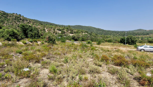 Terrain  à vendre Montalba-le-Château 66130