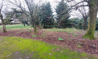 Terrain  2500 m² à vendre à Lagord (17140)