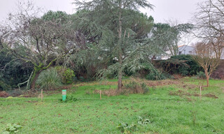 Photo N° 4
