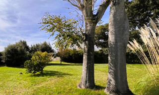 Photo N° 4