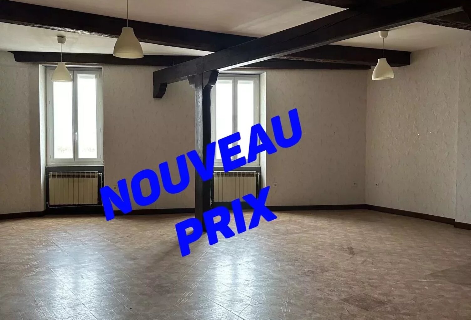 GIVORS (69700) - APPARTEMENT 88 M2 VUE SUR LE RHONE — photo 1