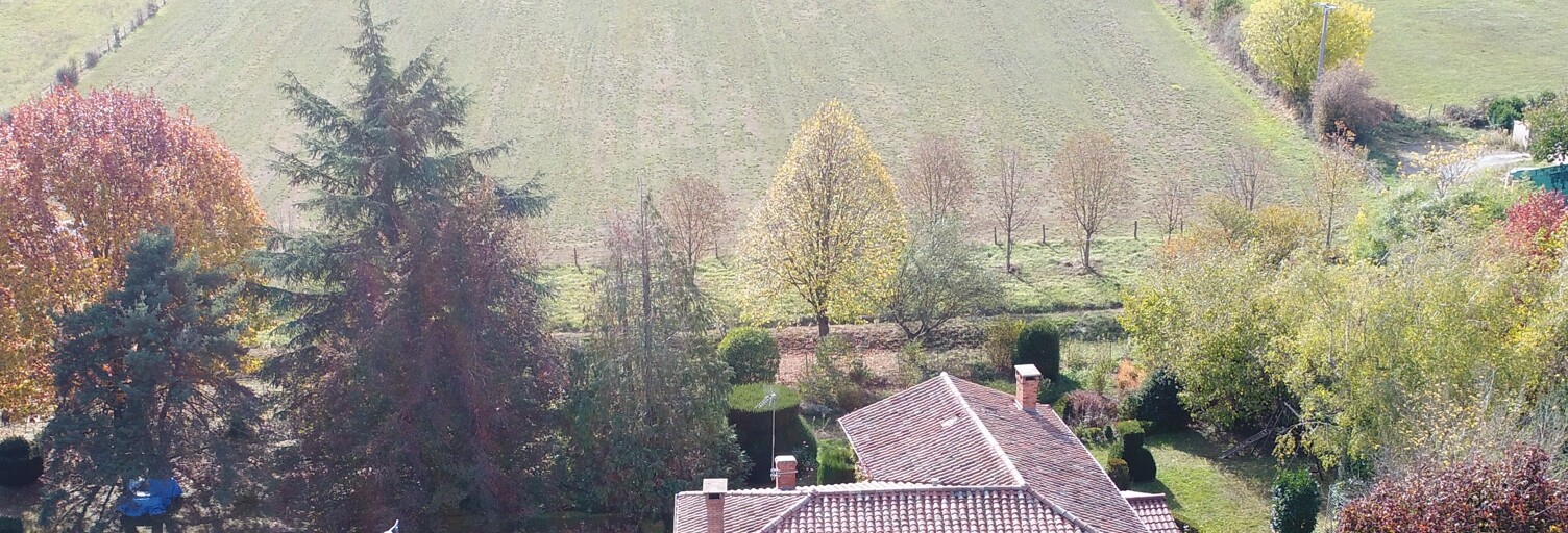 Maison 8 Pièces 190 m² à vendre à Lozanne (69380)