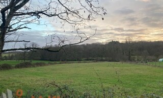 Terrain  4807 m² à vendre à Treigny-Perreuse-Sainte-Colombe (89520)
