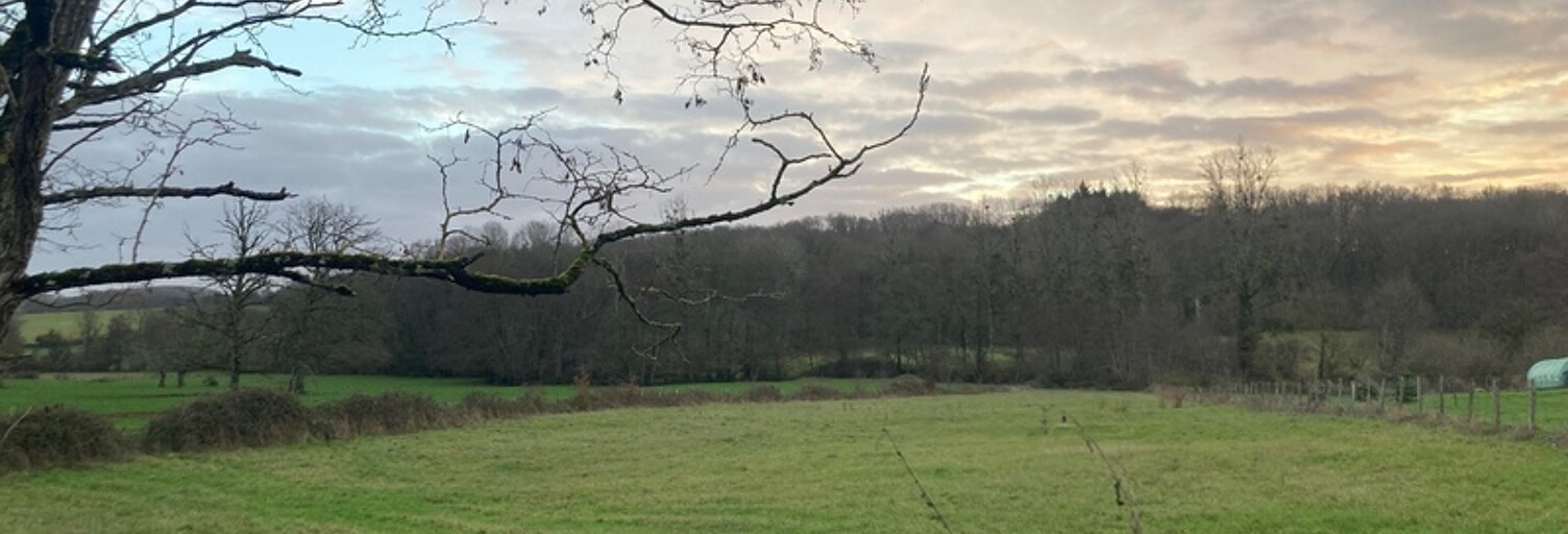 Terrain  4807 m² à vendre à Treigny-Perreuse-Sainte-Colombe (89520)