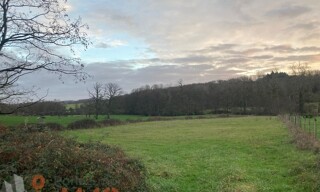 Photo N° 3