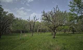 Terrain  7010 m² à vendre à Pechs-de-l'Espérance (24370)