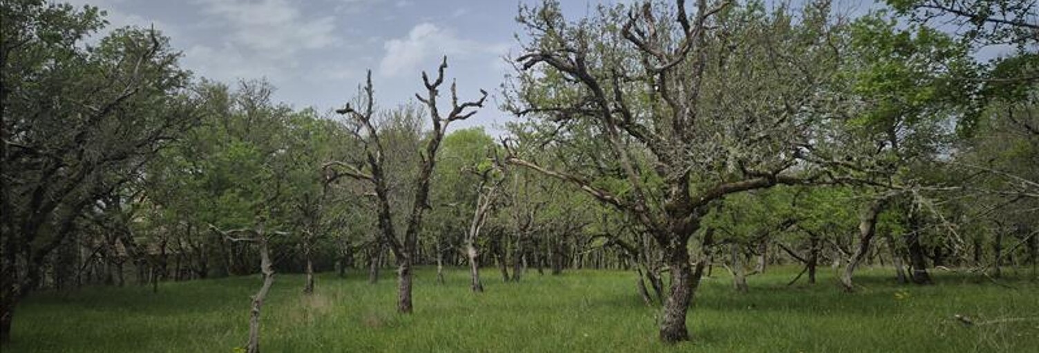 Terrain  7010 m² à vendre à Pechs-de-l'Espérance (24370)