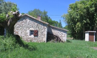 Photo N° 2