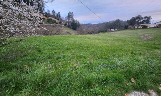 Photo N° 3