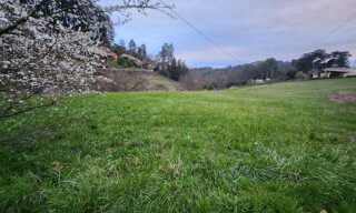 Photo N° 4