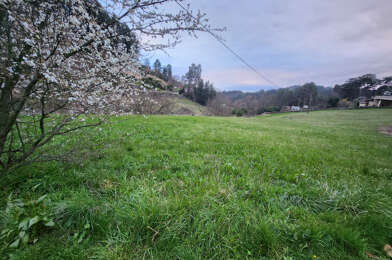 Terrain  63000 €