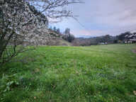 Grands terrains constructibles - tènement possible - belle v — photo 3