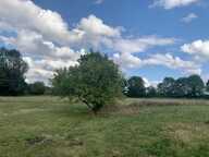 COULONGES-SUR-L'AUTIZE : Maison en pierre de 170m² — photo 2