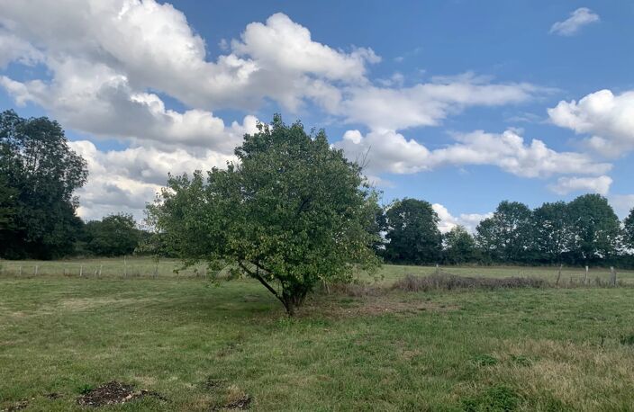 COULONGES-SUR-L'AUTIZE : Maison en pierre de 170m² — photo 2