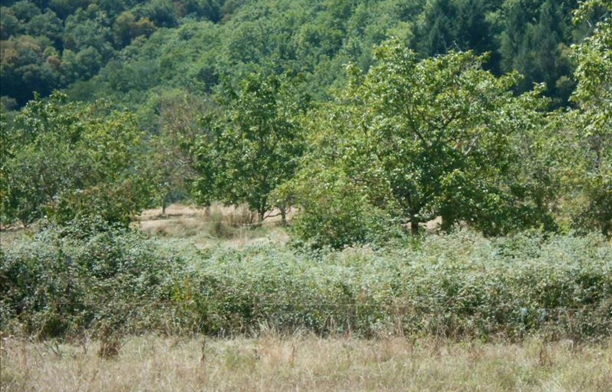 terrain  pièces 1126 m2 à vendre à Altillac (19120)