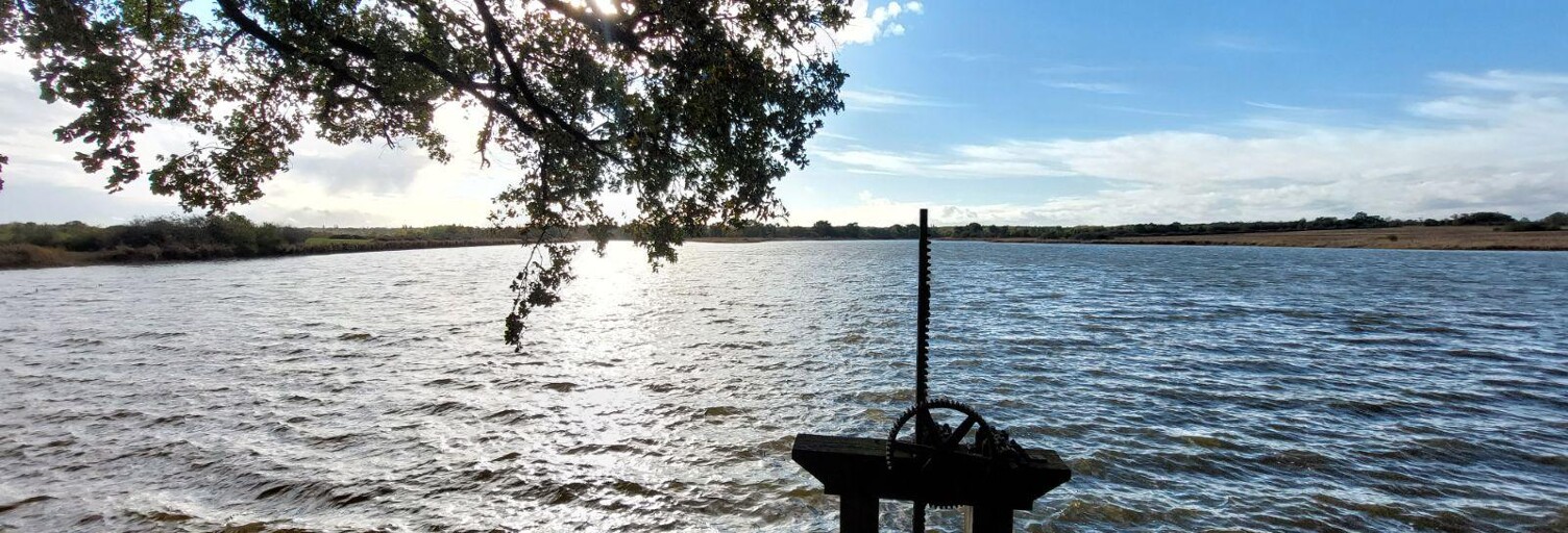 Terrain  414345 m² à vendre à Lingé (36220)