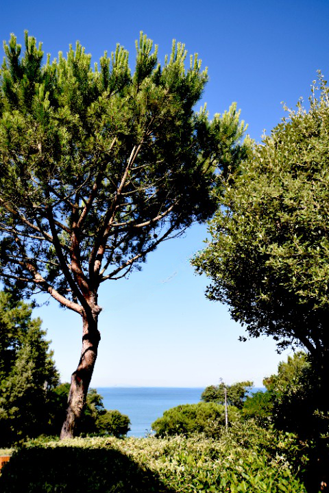 Villa / Maison  T6 à vendre Saint-Palais-sur-Mer 17420