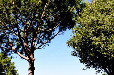 Maison 6 pièces 2950000 €