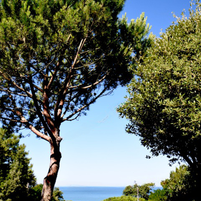 Maison 6 pièces 2950000 €