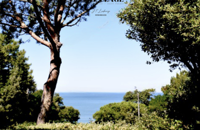 ST PALAIS / MER - APERÇU OCEAN - PLATIN AU PRIX DE VENTE DE — photo 2