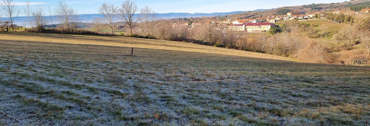 Terrain  1245 m² à vendre à Montchal (42360)