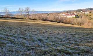 Terrain  1245 m² à vendre à Montchal (42360)