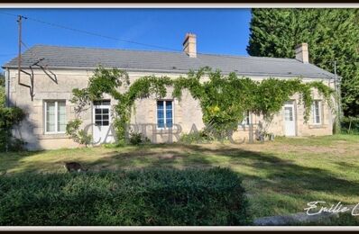 vente maison 176 500 € à proximité de Palluau-sur-Indre (36500)