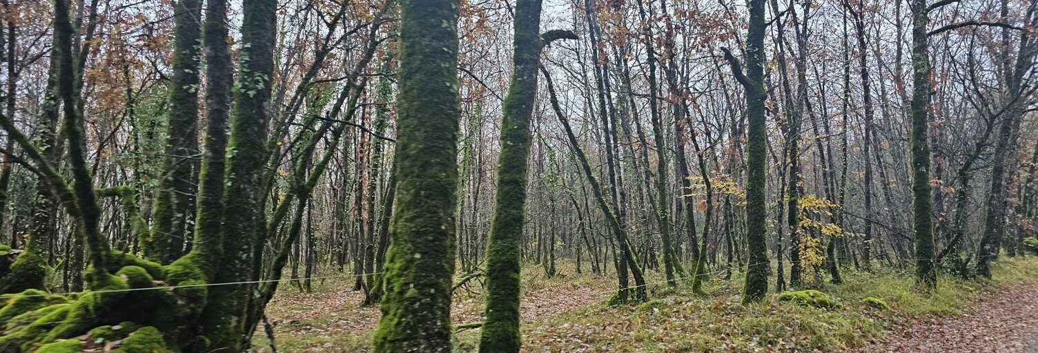 Terrain  29858 m² à vendre à Féneyrols (82140)