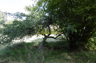 terrain  pièces 5640 m2 à vendre à Flavigny (18350)