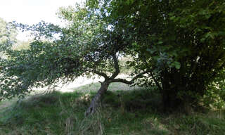 Terrain  5640 m² à vendre à Flavigny (18350)