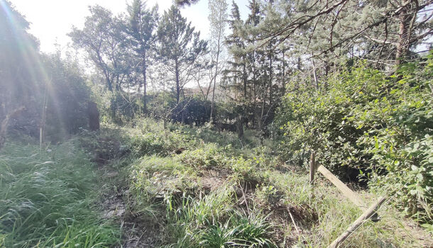 Terrain  à vendre Nîmes 30000