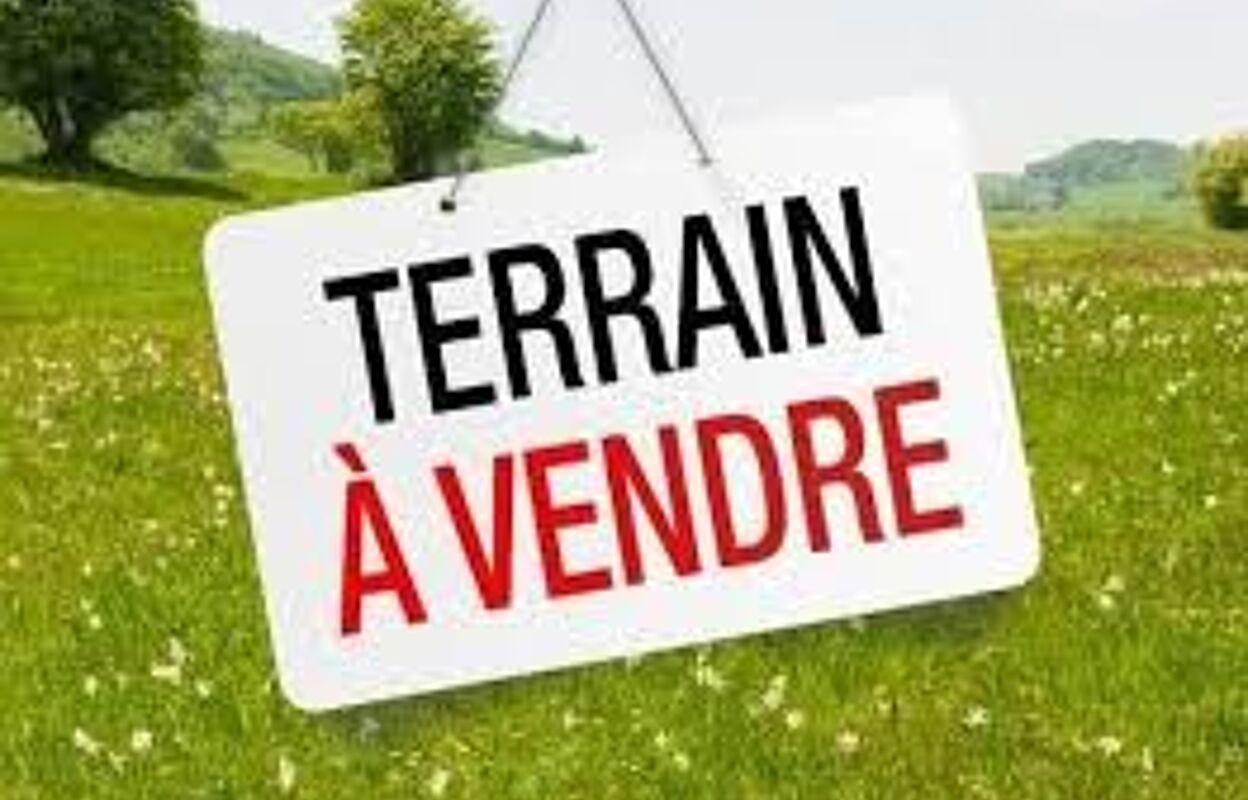 terrain  pièces 5000 m2 à vendre à Querrien (29310)