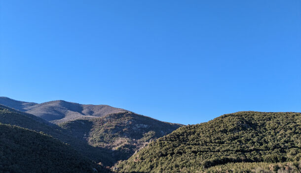 Villa / Maison 5 pièces  à vendre Reynès 66400