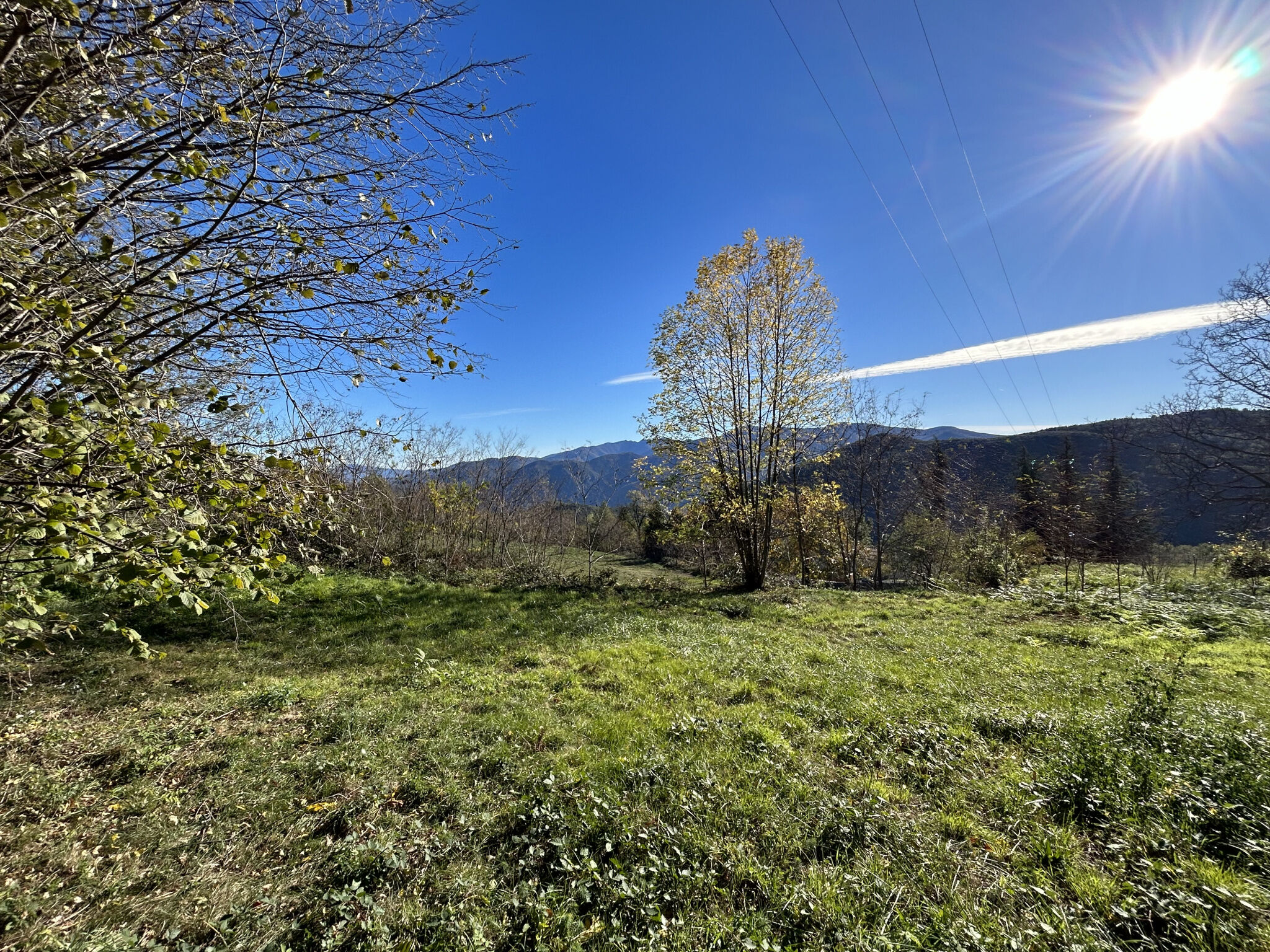 Terrain  à vendre Corsavy 66150